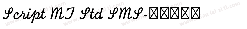 Script MT Std SMS字体转换